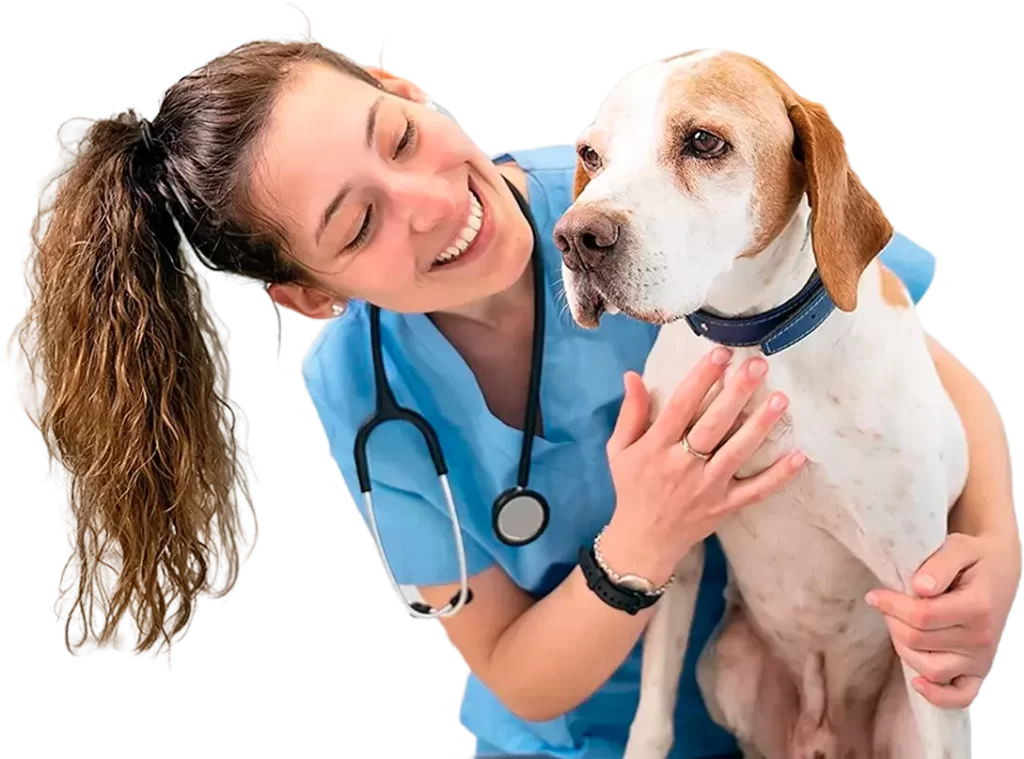 Veterinária com cão