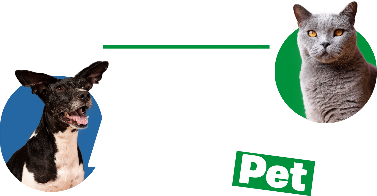 Meu Amigo Pet